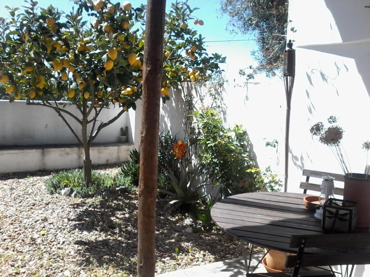 Casa Da Tia Luisa